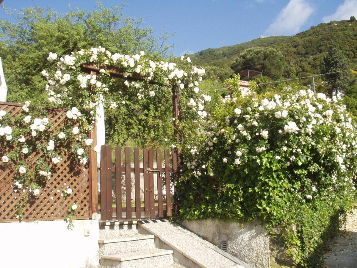 Villa Dei Limoni SantʼAndrea Dış mekan fotoğraf